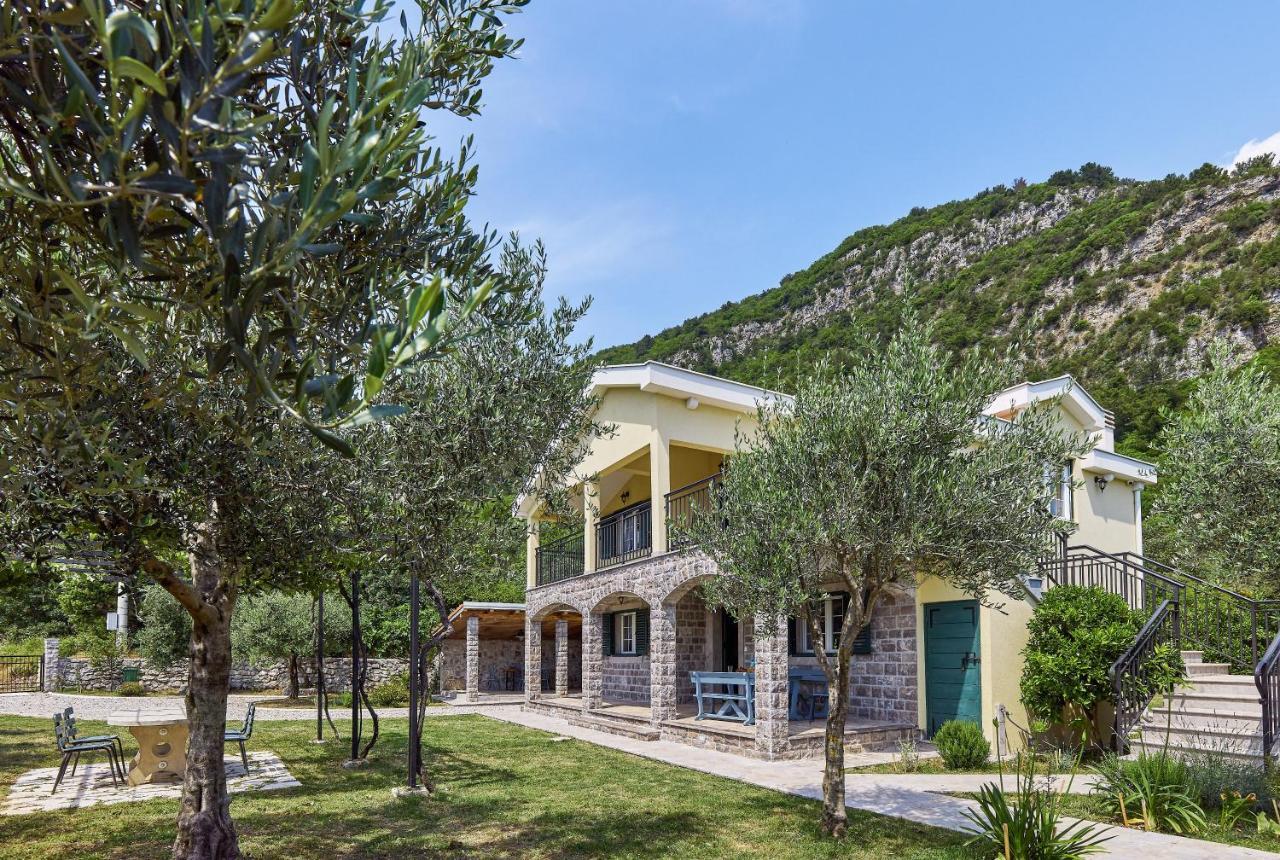 Villa Forest & Blue Kotor Exterior foto